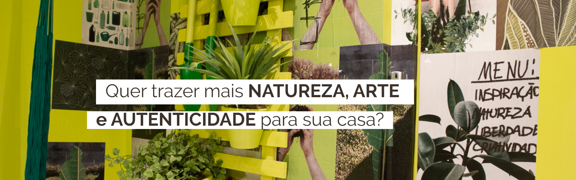 imagem principal desktop